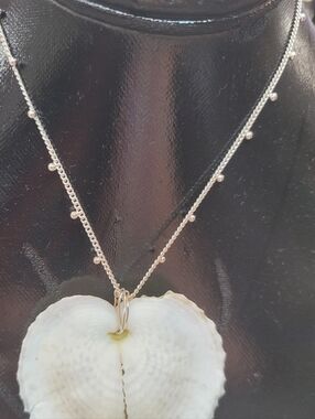 Stainless Steel Beaded Chain Necklace with White  Heart Cockel Shell Pendant